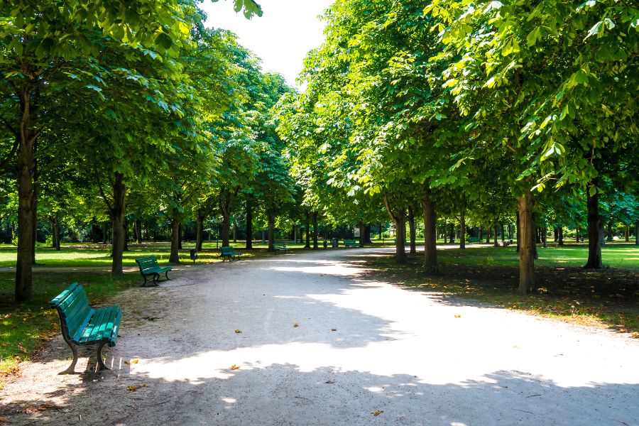 2 days in Berlin Itinerary Tiergarten