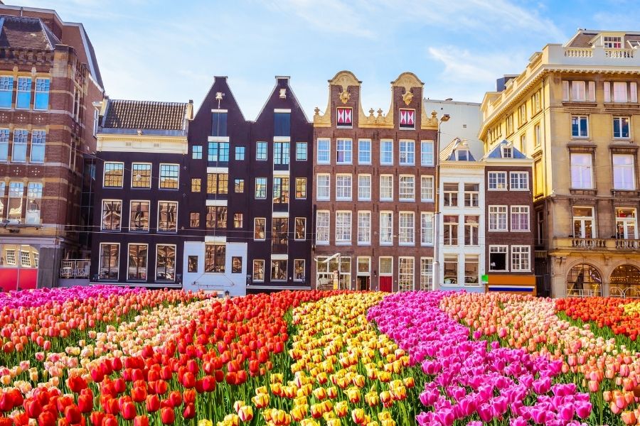 3 day itinerary for Amsterdam tulips buildings