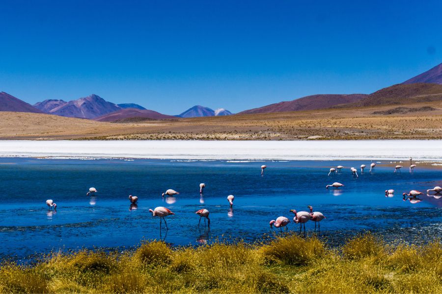 5 Cheapest Countries to visit in South America Bolivia