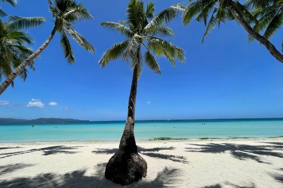 Where is Boracay in the Philippines palm trees