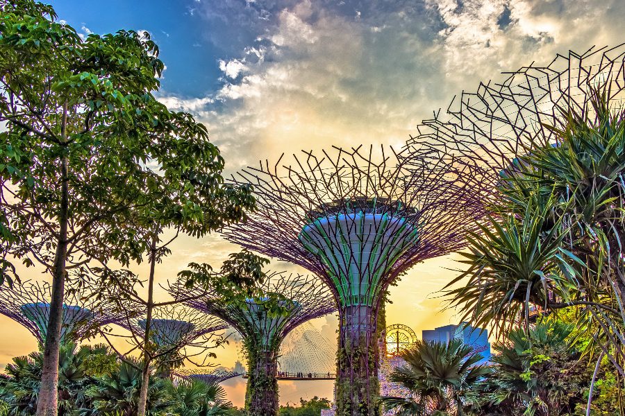 7 Reasons to travel to Singapore