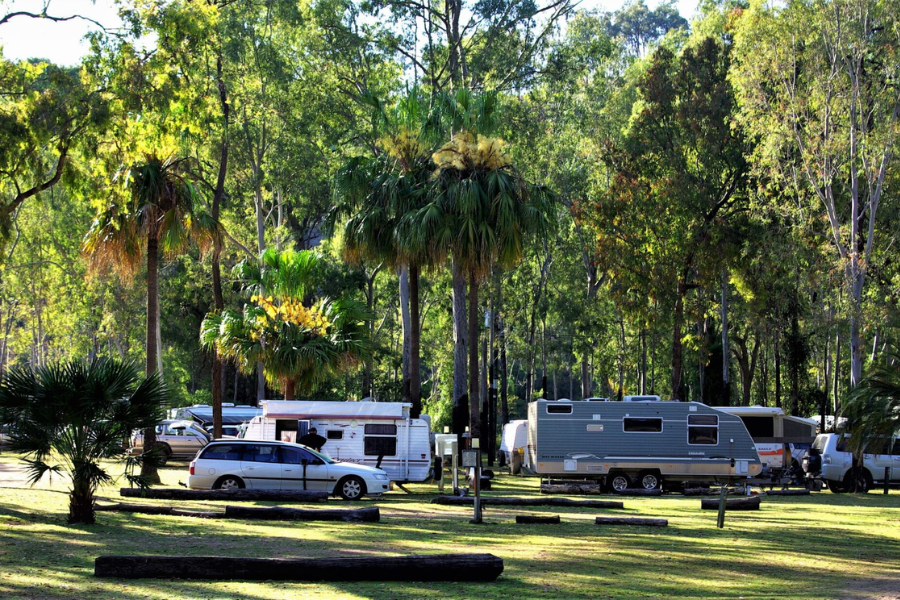 Accommodation at Carnarvon Gorge BIG4 Park - Powered Campsite