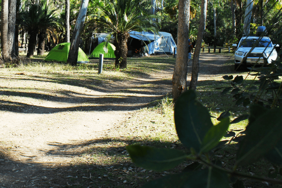 Accommodation at Carnarvon Gorge Visitors Centre Campground