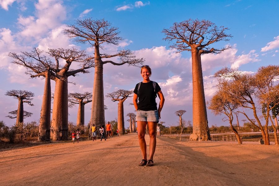 Madagascar in two weeks. Avenue of the baobabs