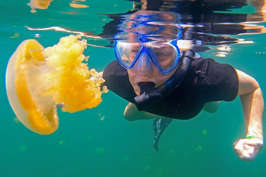 Best Things to do in Palau - Jellyfishlake