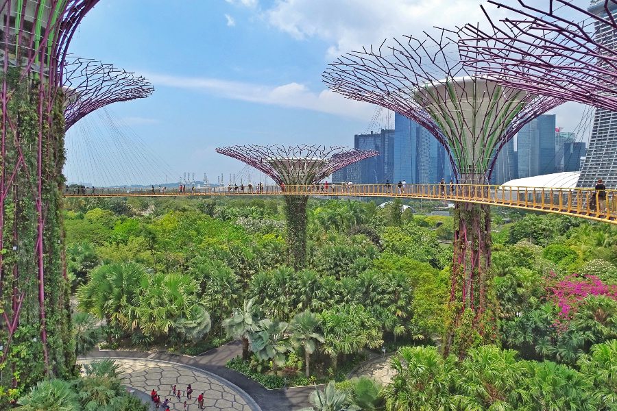 Best places in Singapore - Gardens By the Bay