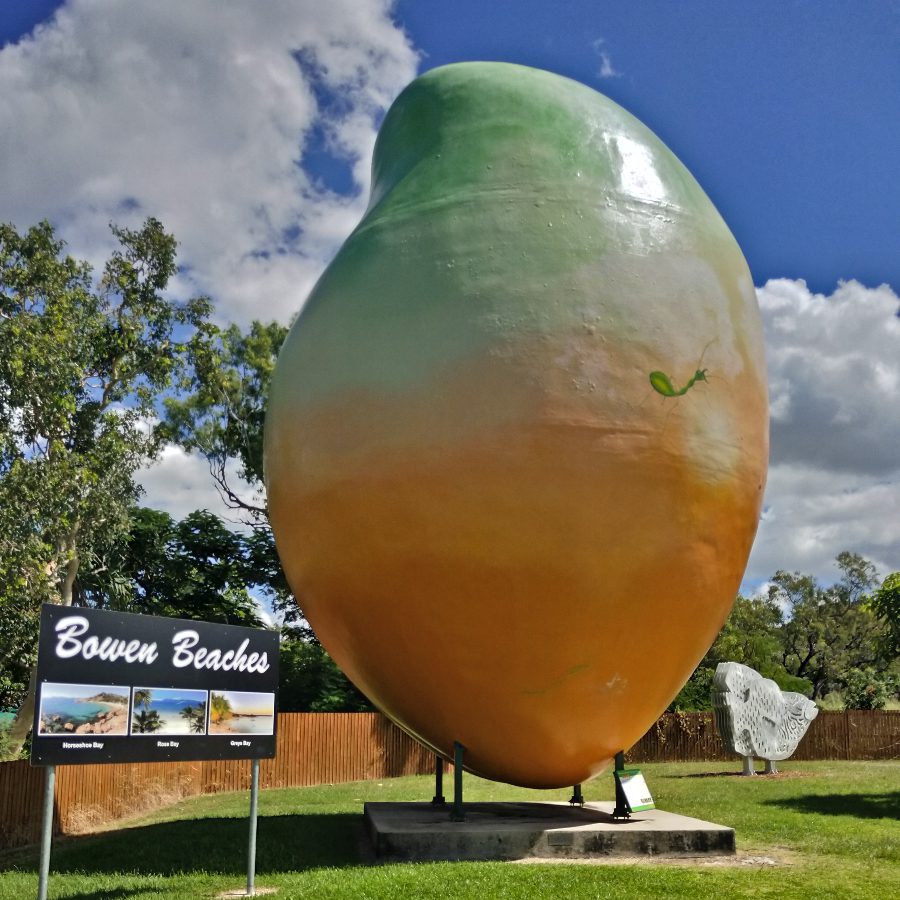 Big Things Big Mango