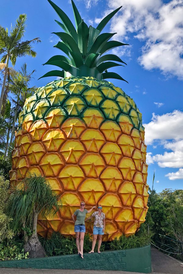 Big Things in Australia - Big Pineapple
