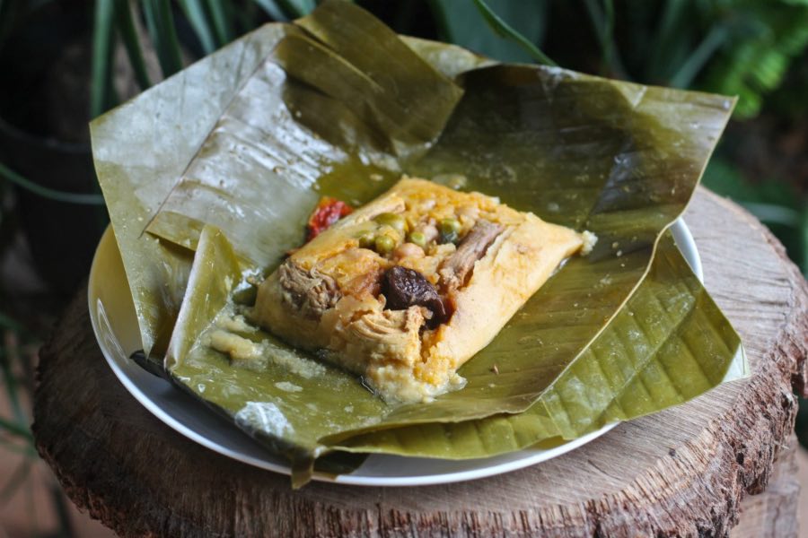 What to eat in Costa Rica - 6 dishes you must try Tamale