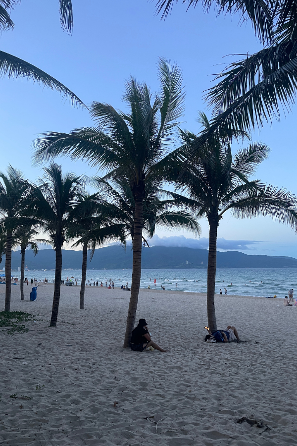 Danang Beachfront palm trees