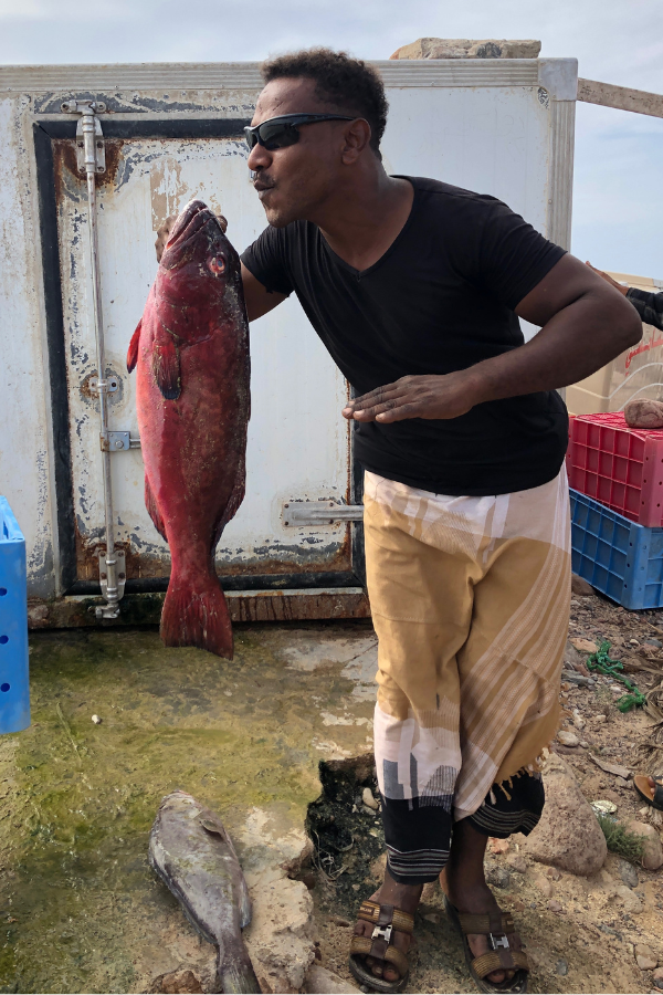 Fresh Fish Yemen