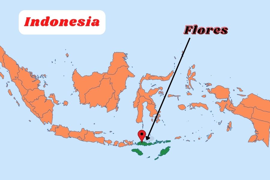 Where is Flores in Indonesia on the map