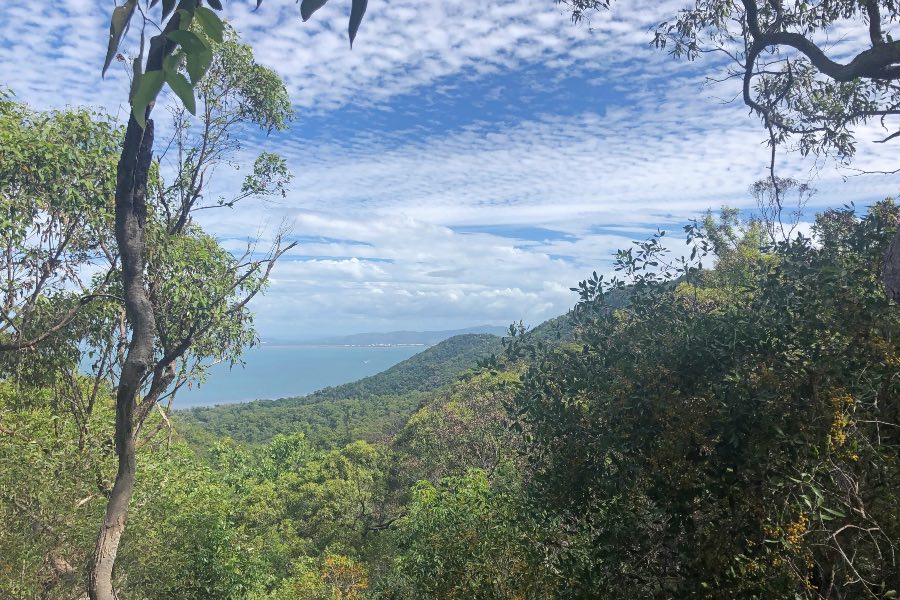 Best Things to do on Magnetic Island - Hiking