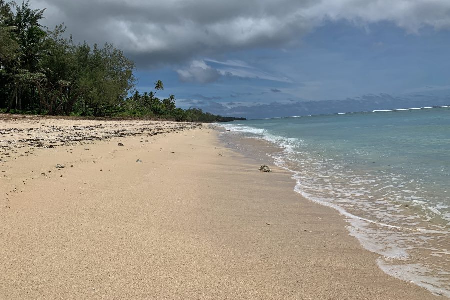 https://www.veryhungrynomads.com/wp-content/uploads/2023/08/Otuhaka-beach-Tonga.jpg