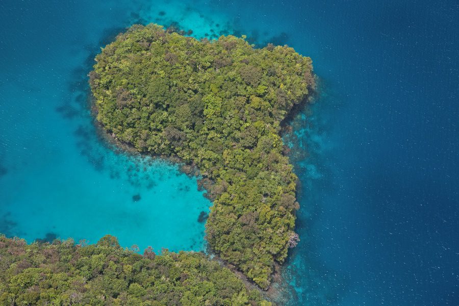 Palau Jellyfish Lake Tour - 5 things you need to know Palau