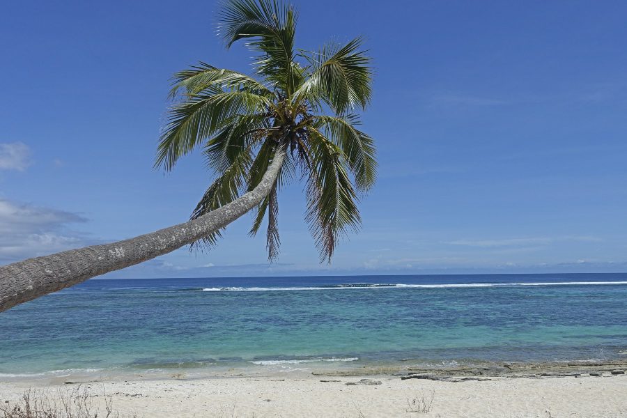 How to travel to Tonga on a budget best beach in tonga
