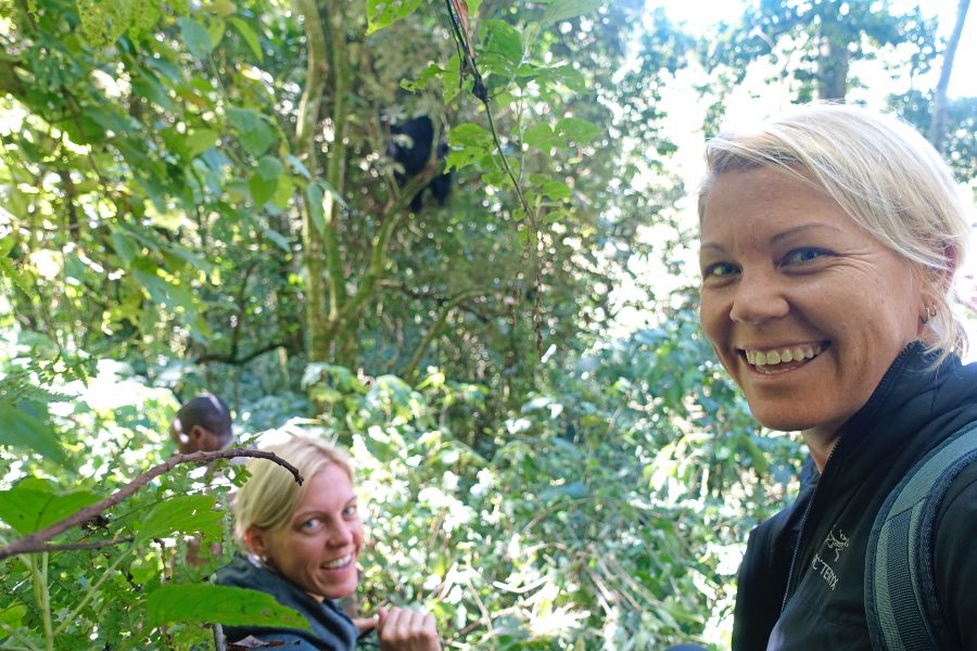 Uganda Gorilla Trekking what a day