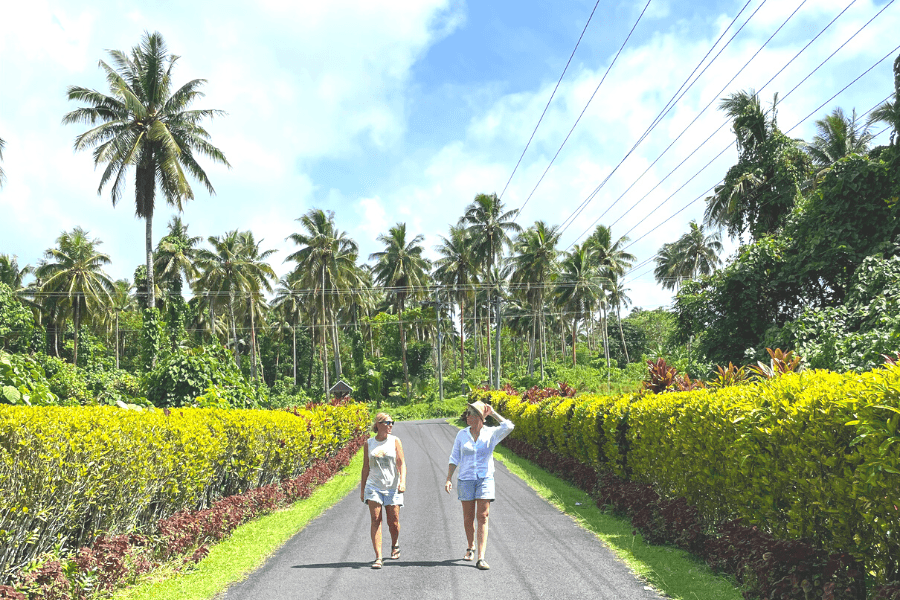 Samoa Palm Trees