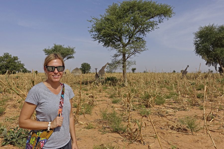 Travelling West Africa Niger Giraffes