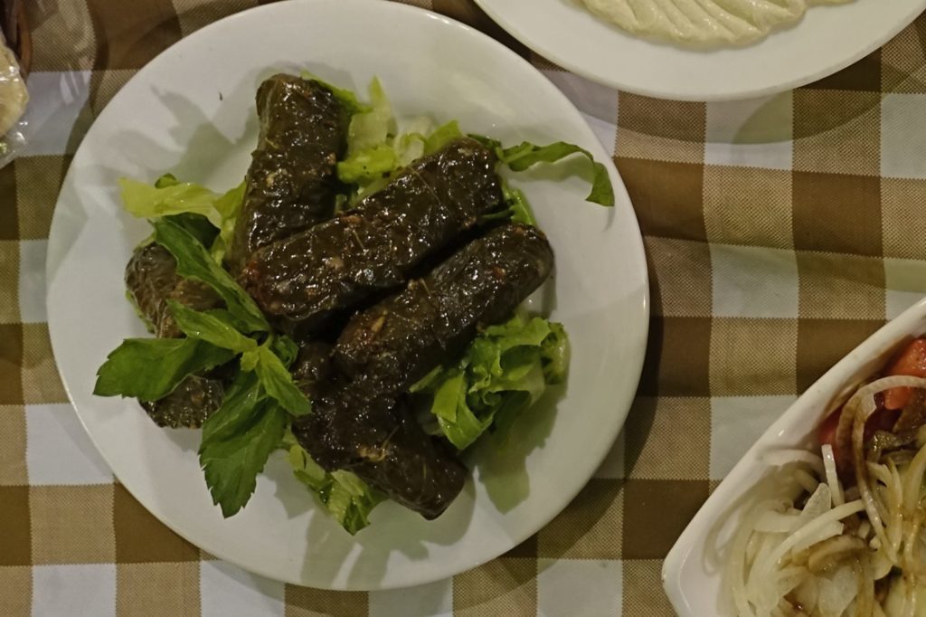 9 Must-try food in Syria vine leaves