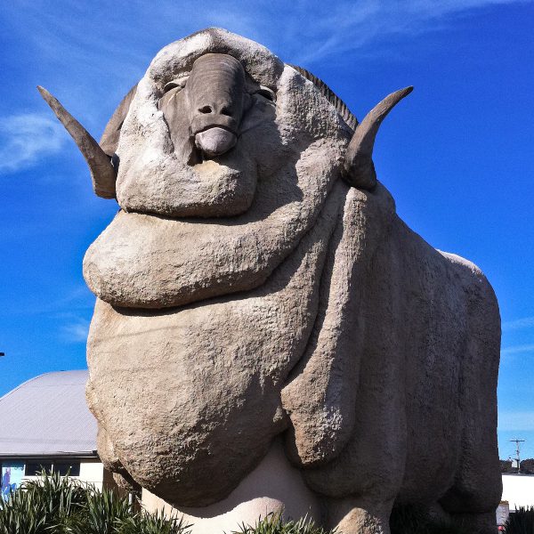30 Best Big Things in Australia - The Big Merino