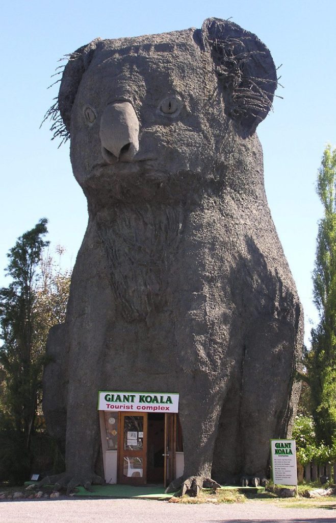 30 Best Big Things in Australia giant koala