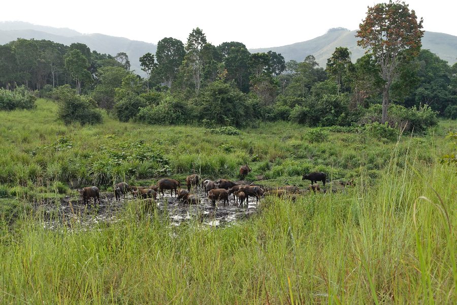 The Year 2019 in Travel - Gabon