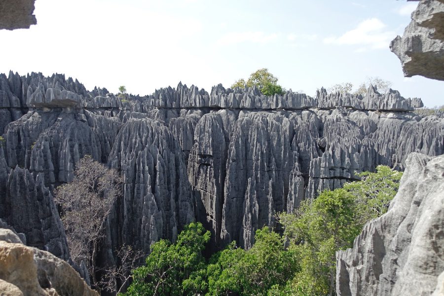 tour guide madagascar 2 Madagascar in two weeks