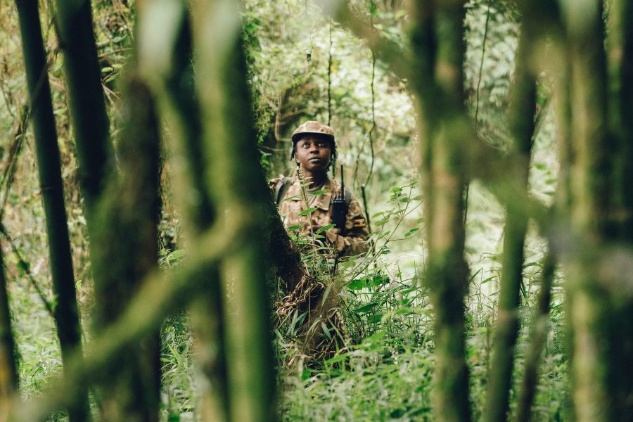 Uganda gorilla trekking guard