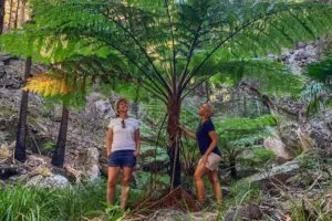 socotra island travel cost