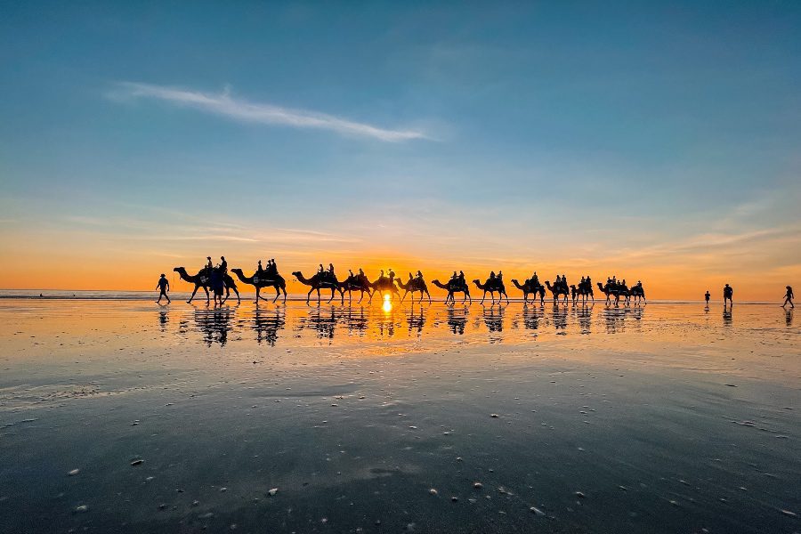 best things to do in broome camel ride
