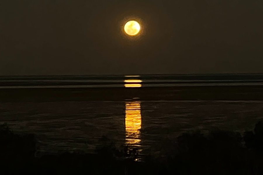 best things to do in broome staircase to the moon
