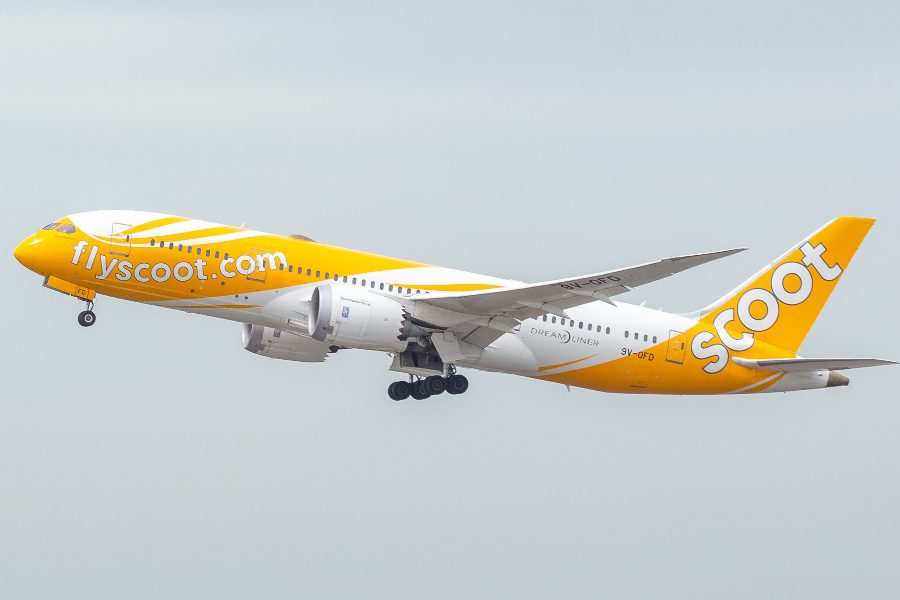 fly with scoot dreamliner