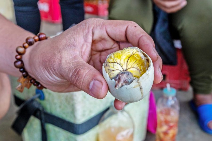 food in the philippines balut