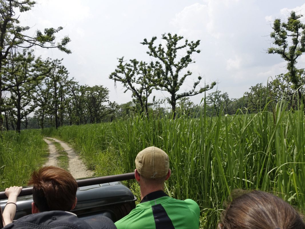 jeep safari Chitwan National Park