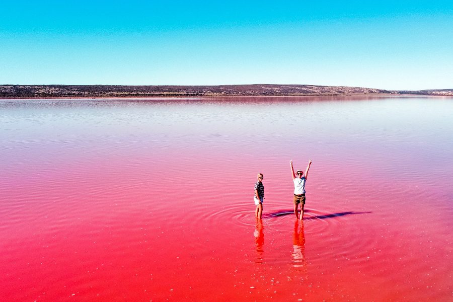 Lake MacDonnell, pink lake in South Australia