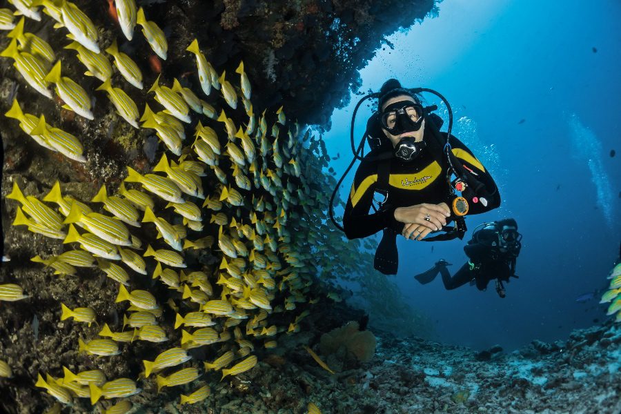 scuba diving things to do in palau