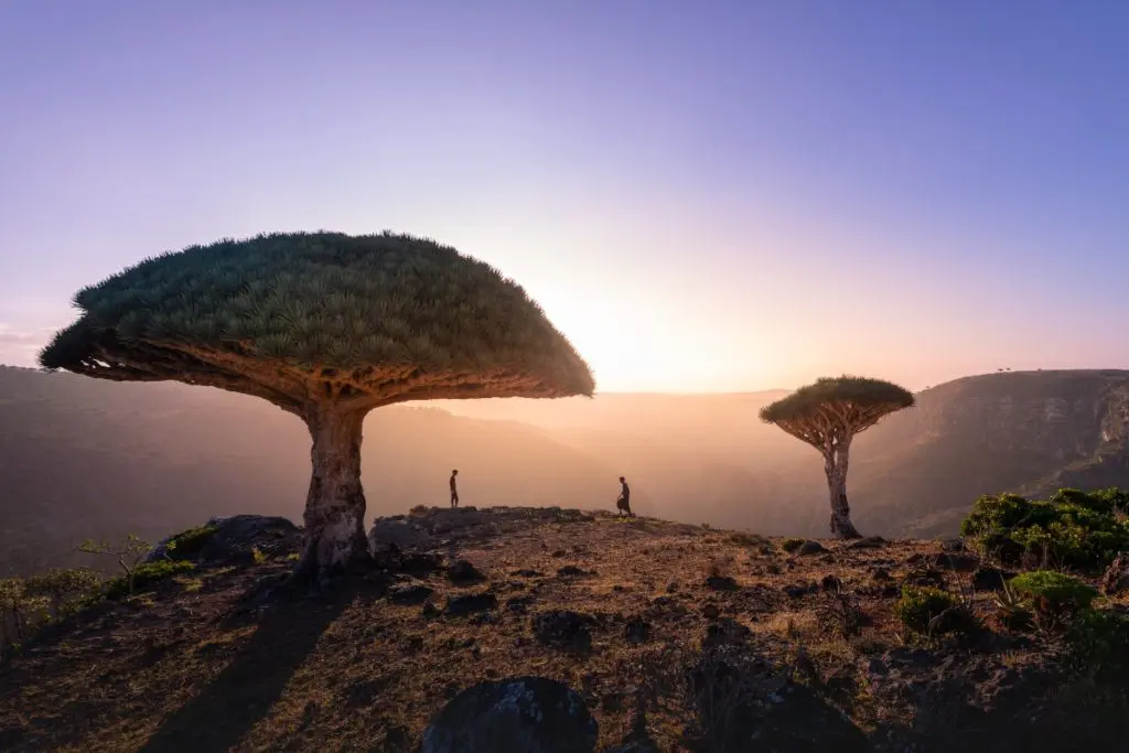 travel socotra island