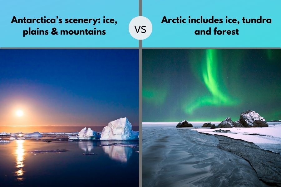 Antarctica vs Arctic landscapes