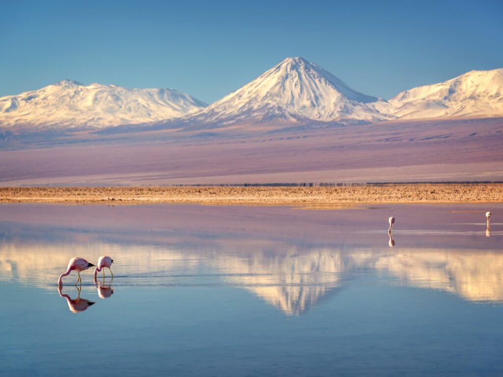 Atacama desert in Chile