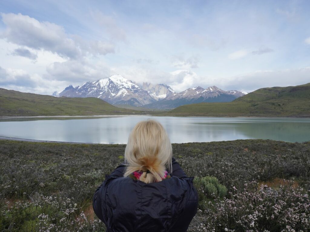 Day tour to Torres del Paine views