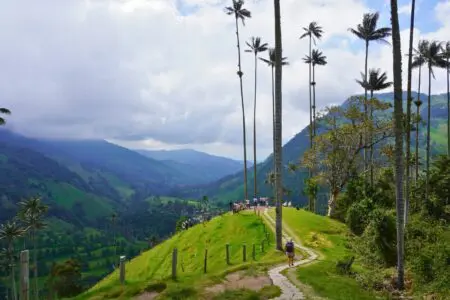 Cocora Valley Mirador