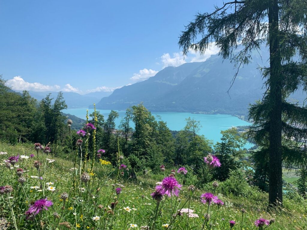 Views hiking up to Harder Kulm Switzerland