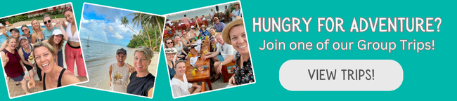 vhn group tours banner